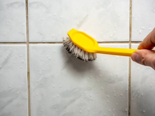 Best Residential Mold Remediation in Camp Hill, AL