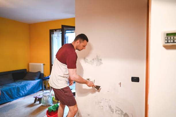 Best Black Mold Remediation in Camp Hill, AL
